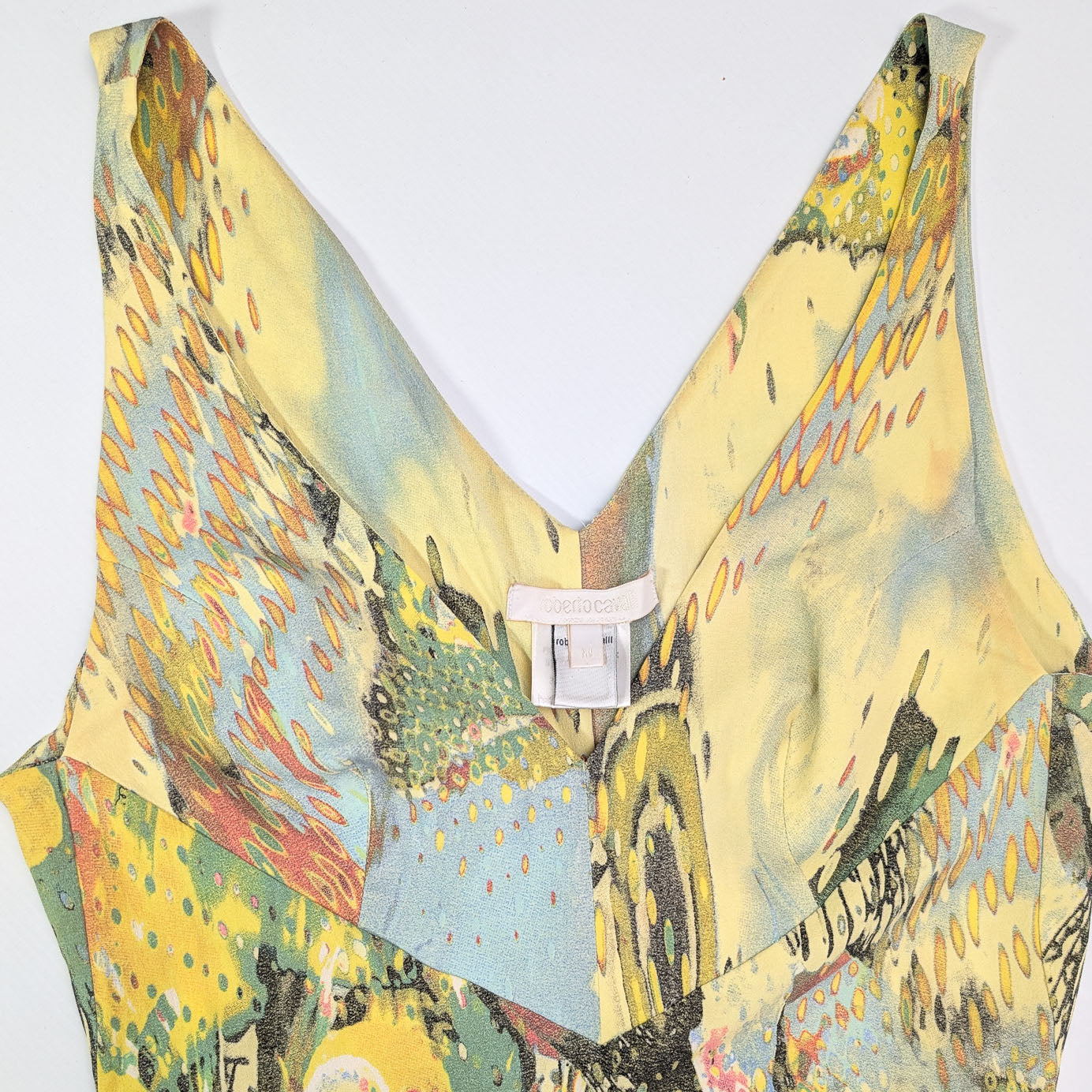 Roberto Cavalli dress