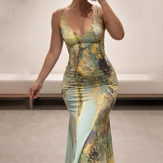 Roberto Cavalli dress