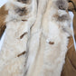 Roberto Cavalli fur coat