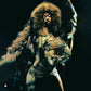 Vintage fur dress cape